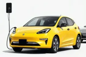 importação de carros elétricos