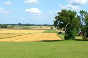 Declaração do Imposto sobre a Propriedade Territorial Rural