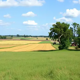 Declaração do Imposto sobre a Propriedade Territorial Rural
