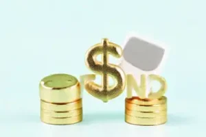 restituição do Imposto de Renda